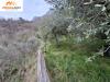 Terreno Agricolo in vendita a Marone in via provinciale 15 - 06, Foto 6