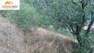 Terreno Agricolo in vendita a Marone in trenta passi - 02, Foto 2