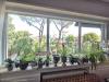Appartamento in vendita con box a Roma in via giuseppe ceracchi - 06, Foto 6