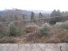 Villa in vendita a Montespertoli - 06, Foto 6