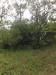 Rustico in vendita a Montespertoli - 06, Foto 6