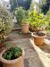 Appartamento in vendita con giardino a Montespertoli - 06, Foto 6