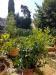 Appartamento in vendita con giardino a Montespertoli - 07, Foto 7