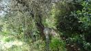 Appartamento in vendita con giardino a Montelupo Fiorentino - 02, Foto 2