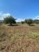 Terreno Agricolo in vendita a Fermo in strada provinciale paludi - 03, Foto 3