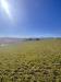 Terreno Agricolo in vendita a Recanati in c.da montefiore 89 - 04, Foto 4