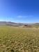 Terreno Agricolo in vendita a Recanati in c.da montefiore 89 - 05, Foto 5