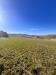 Terreno Agricolo in vendita a Recanati in c.da montefiore 89 - 06, Foto 6