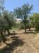 Casa indipendente in vendita con giardino a Sarnano in c.da poggio 32 - 06, Foto 6