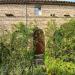 Casa indipendente in vendita a Montottone in via sant'orsola 6 - 04, Foto 4