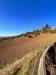 Terreno Agricolo in vendita a Monte Urano in via marchesi - 07, Foto 7