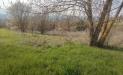 Terreno in vendita a Sovicille in san rocco a pilli - 02