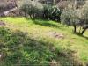 Terreno Edificabile in vendita a Castiglione Cosentino - 06, 5a.jpg