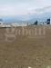 Terreno Agricolo in affitto a Rende - 03, WhatsApp Image 2025-05-24 at 10.32.04.jpeg