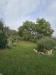 Villa in vendita con giardino a Arezzo - 03, WhatsApp Image 2023-10-25 at 20.29.51.jpeg