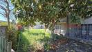 Appartamento in vendita con giardino a Arezzo - 09, WhatsApp Image 2025-05-07 at 11.54.14.jpeg