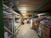 Magazzino in vendita a Arezzo - 04, WhatsApp Image 2025-11-18 at 16.48.38 (4).jpeg
