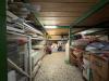 Magazzino in vendita a Arezzo - 05, WhatsApp Image 2025-11-18 at 16.48.38 (5).jpeg