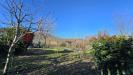 Appartamento in vendita a Arezzo - 02, WhatsApp Image 2025-02-21 at 16.34.34.jpeg