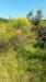Terreno Agricolo in vendita a Arezzo - 05, WhatsApp Image 2026-05-29 at 09.22.28 (5).jpeg