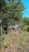 Terreno Agricolo in vendita a Arezzo - 07, WhatsApp Image 2026-05-29 at 09.22.29 (1).jpeg
