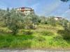 Terreno Agricolo in vendita a Mendicino in viale virgilio - 06, Foto 6