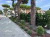 Attivit� commerciale in vendita a Cervia in viale viale caduti per la libert� 0 - pinarella - 02