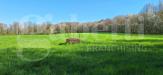 Rustico in vendita con giardino a Avigliana - 07, Immagine WhatsApp 2025-07-02 ore 14.06.04_a9155dd7