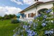 Villa in vendita con giardino a Seravezza - pozzi - 02