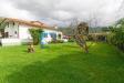 Villa in vendita con giardino a Seravezza - pozzi - 06