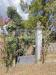 Villa in vendita con giardino a Correzzola - 07, DJI_20260724_124729_811.jpg