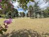 Villa in vendita con giardino a Correzzola - 08, DJI_20260724_123313_107.jpg