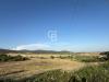 Terreno Agricolo in vendita a Santa Marinella in via pontenuovo snc - 10, Foto 10
