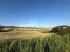 Terreno Agricolo in vendita a Santa Marinella in via pontenuovo snc - 03, Foto 3