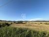 Terreno Agricolo in vendita a Santa Marinella in via pontenuovo snc - 04, Foto 4