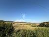 Terreno Agricolo in vendita a Santa Marinella in via pontenuovo snc - 07, Foto 7