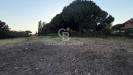 Terreno Agricolo in vendita a Tarquinia in localit san giorgio - 04, Foto 4