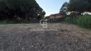 Terreno Agricolo in vendita a Tarquinia in localit san giorgio - 05, Foto 5