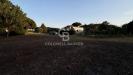 Terreno Agricolo in vendita a Tarquinia in localit san giorgio - 07, Foto 7
