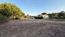 Terreno Agricolo in vendita a Tarquinia in localit san giorgio - 09, Foto 9