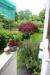 Appartamento in vendita con giardino a Laives - 09, Foto 9