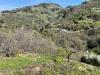 Terreno Edificabile in vendita a San Biagio della Cima - 04, Foto 4
