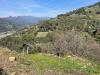 Terreno Edificabile in vendita a San Biagio della Cima - 05, Foto 5