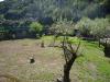 Casa indipendente in vendita con giardino a Cannobio in via madonna delle grazie 115 - 03, Foto 3