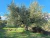 Terreno in vendita a Magione - 02, Terreno