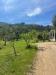 Villa in vendita con giardino a Gaeta - 03, WhatsApp Image 2023-05-05 at 12.43.20.jpeg