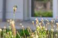 Appartamento bilocale in vendita con giardino a Cento in via paradisi 4 - 02, Foto 2