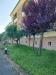 Appartamento in vendita con box a Cesenatico in via cesenatico - 04, Foto 4