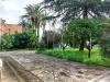 Villa in vendita con giardino a Diano Marina in via del sole 8 - 03, Foto 3