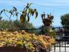 Appartamento bilocale in vendita con giardino a Diano Marina in strada diano gorleri 7 - 03, Foto 3